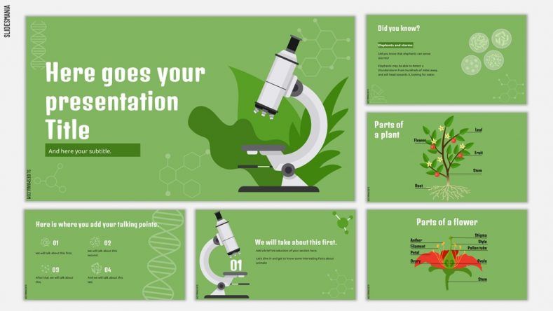 Green biology Free PowerPoint template Google Slides theme