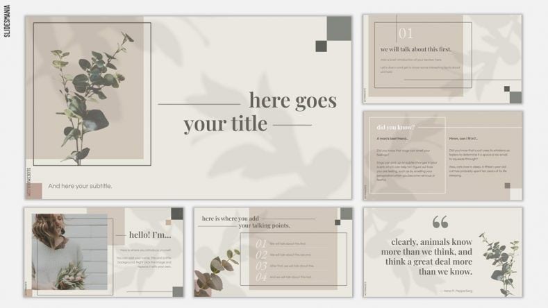 fancy powerpoint templates